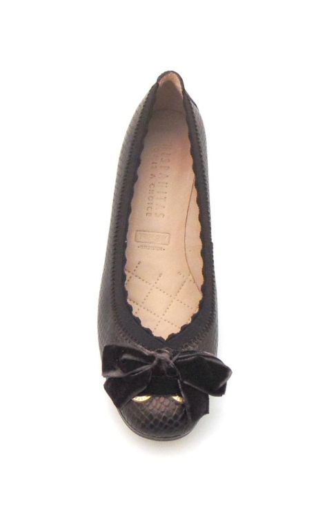 Hispanitas 00881  (200521) - Reynders - Daenen