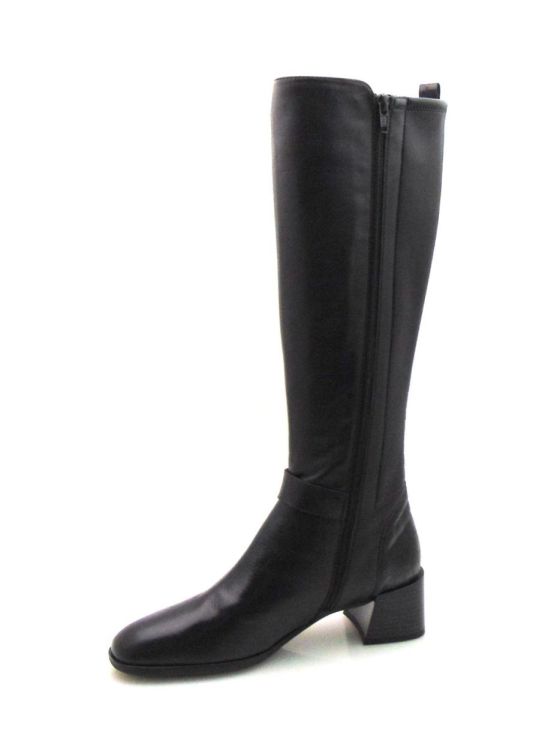 Hispanitas 211847 (210761) - Reynders - Daenen