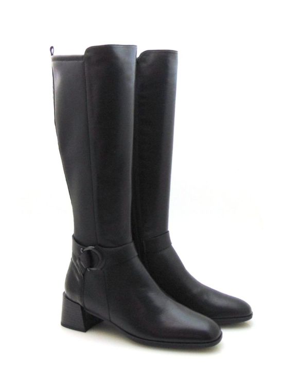 Hispanitas 211847 (210761) - Reynders - Daenen