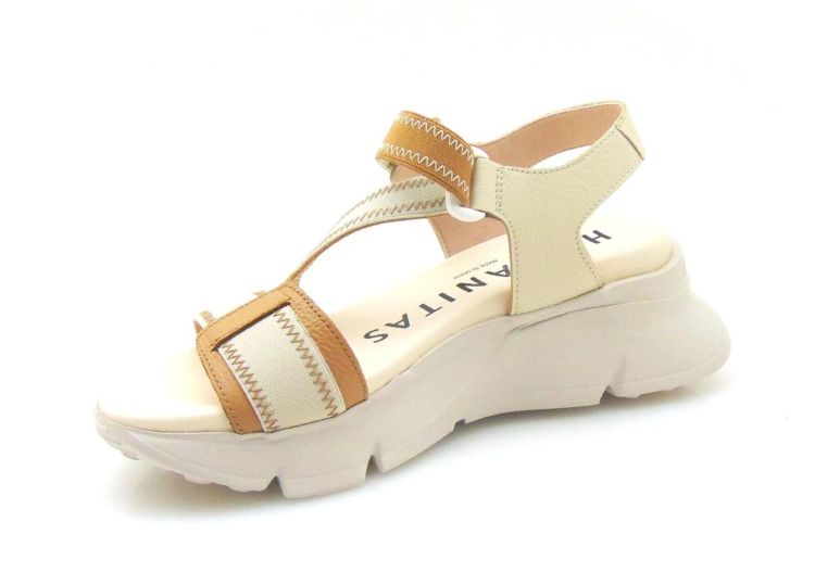 Hispanitas 243459 (240547) - Reynders - Daenen