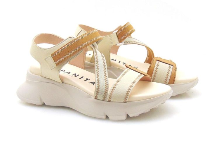 Hispanitas 243459 (240547) - Reynders - Daenen