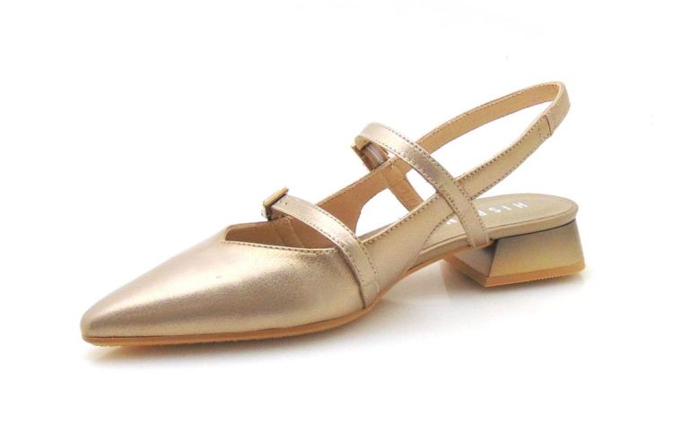 Hispanitas 253922 (250043-397) - Reynders - Daenen