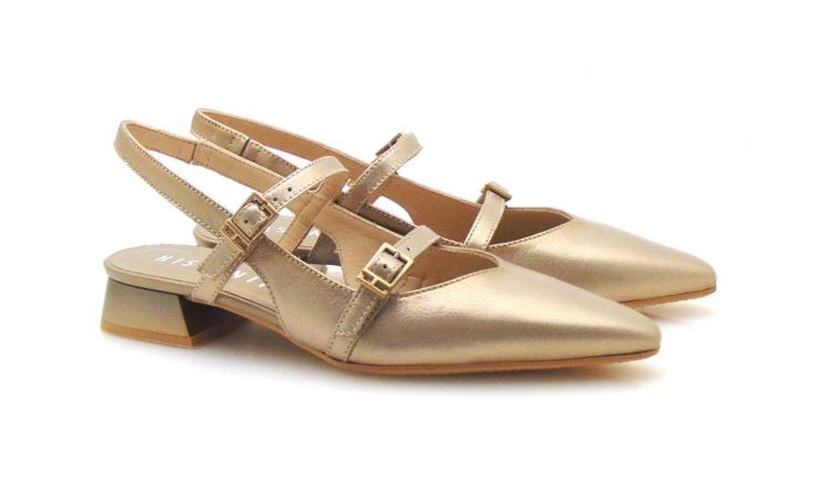 Hispanitas 253922 (250043-397) - Reynders - Daenen