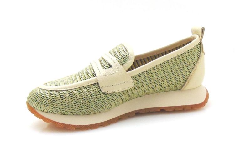 Hispanitas 254062 (250043) - Reynders - Daenen