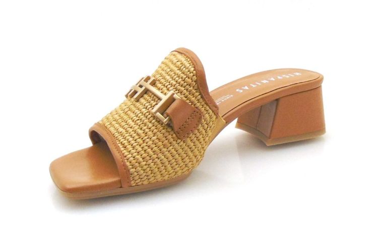 Hispanitas 254071 (250043-457) - Reynders - Daenen