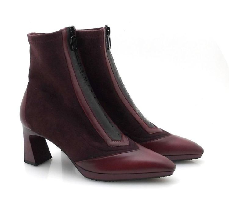 Hispanitas 254186 (250841) - Reynders - Daenen