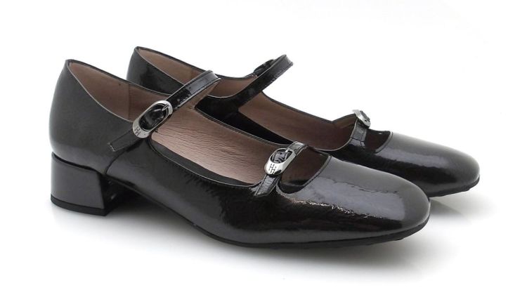 Hispanitas 254207 (250855) - Reynders - Daenen