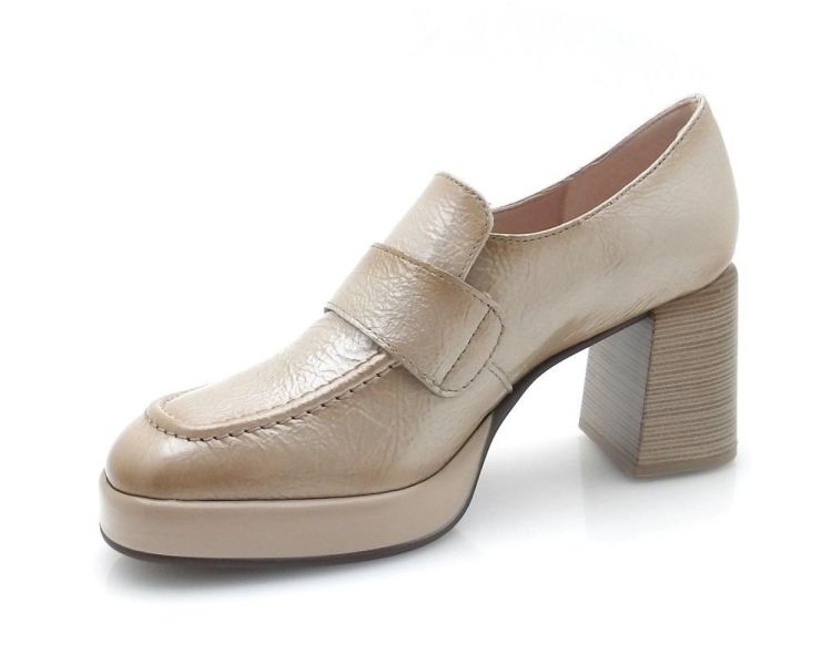 Hispanitas 254229 (250552) - Reynders - Daenen