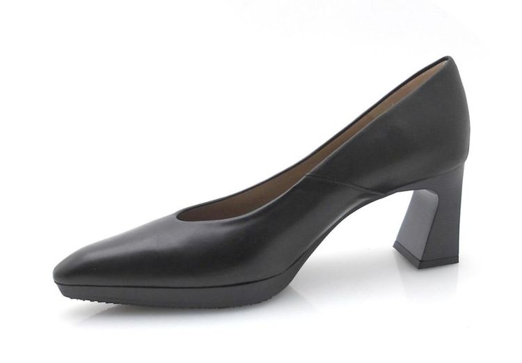 Hispanitas 254245 (250552) - Reynders - Daenen