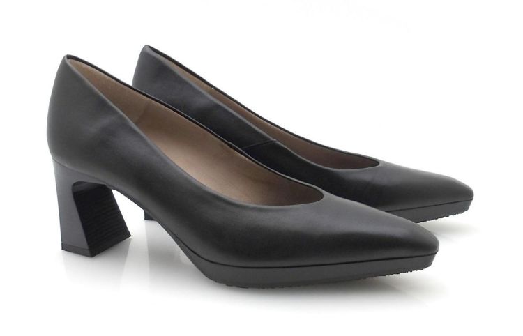 Hispanitas 254245 (250552) - Reynders - Daenen