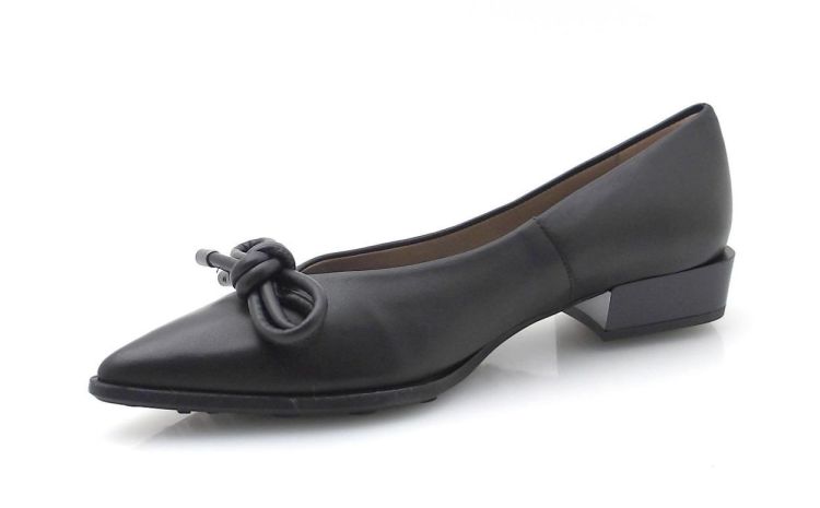 Hispanitas 254260 (250552) - Reynders - Daenen