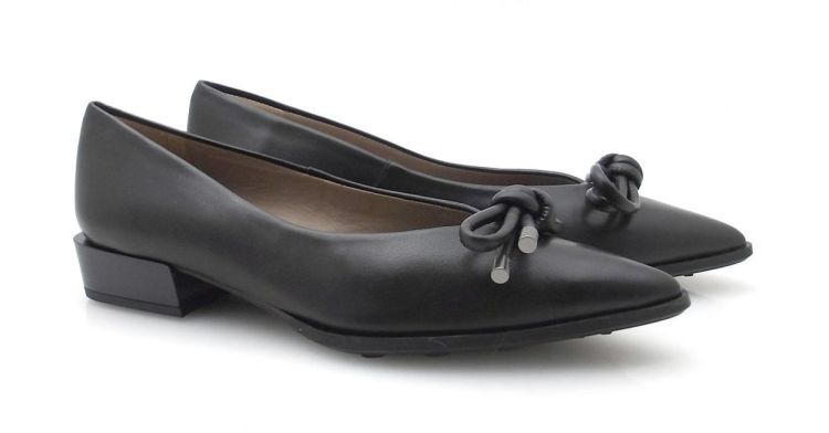 Hispanitas 254260 (250552) - Reynders - Daenen