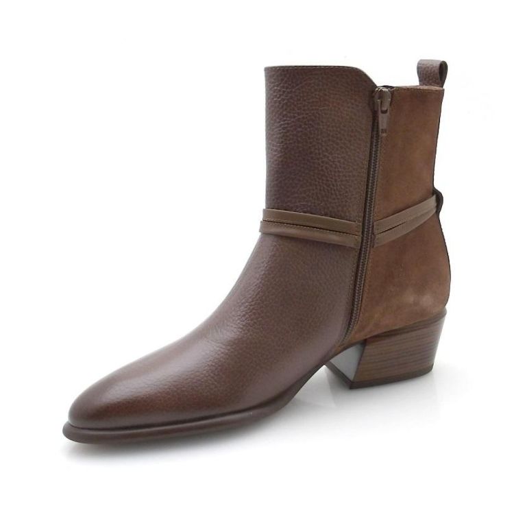 Hispanitas 254297 (250552) - Reynders - Daenen