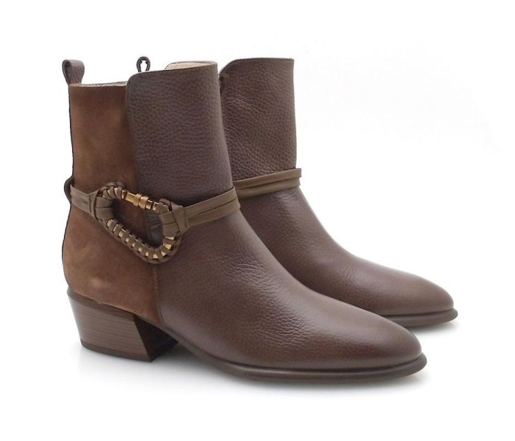 Hispanitas 254297 (250552) - Reynders - Daenen