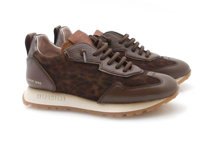 Hispanitas 254312 (250776-855) - Reynders - Daenen