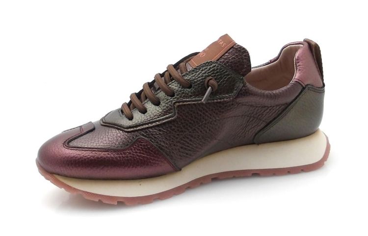 Hispanitas 254312 (250855) - Reynders - Daenen