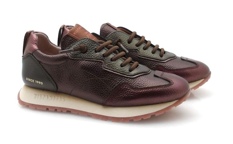 Hispanitas 254312 (250855) - Reynders - Daenen