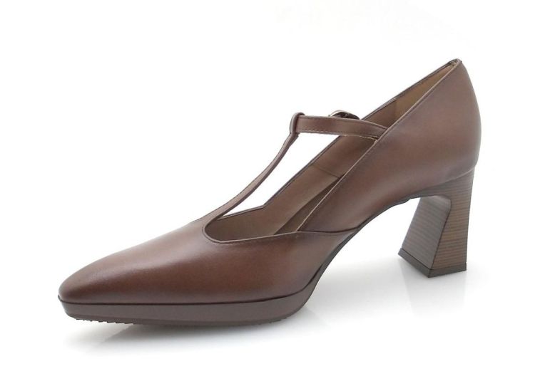 Hispanitas 254342 (250552) - Reynders - Daenen