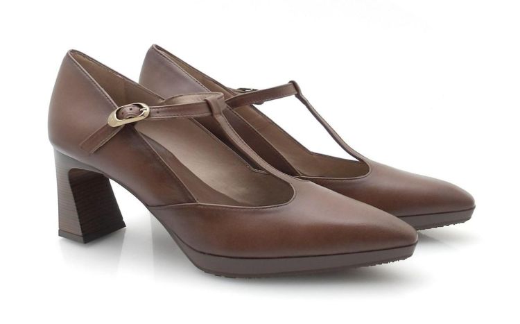 Hispanitas 254342 (250552) - Reynders - Daenen