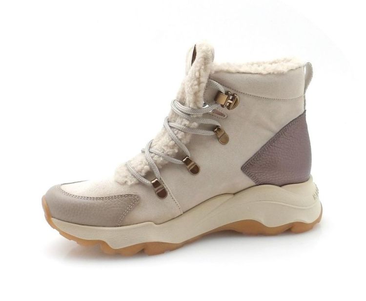 Hispanitas 254371 (250552) - Reynders - Daenen