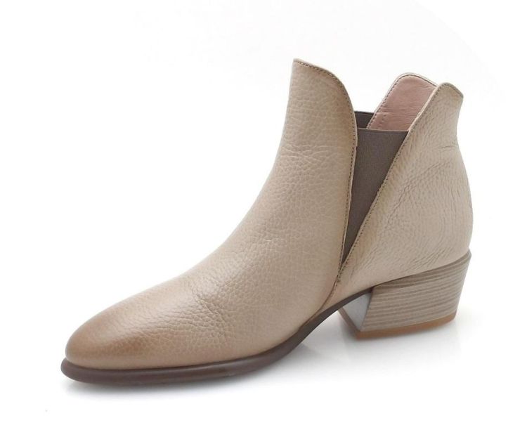 Hispanitas 254383 (250552) - Reynders - Daenen