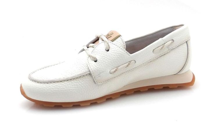 Hispanitas 264603 (260046) - Reynders - Daenen