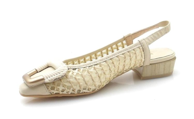 Hispanitas 264658 (260046) - Reynders - Daenen