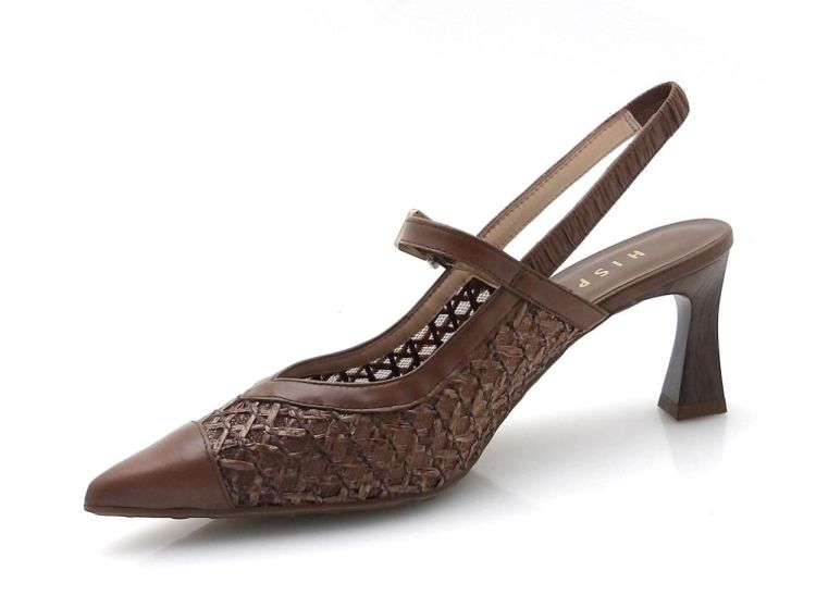 Hispanitas 264671 (260046) - Reynders - Daenen