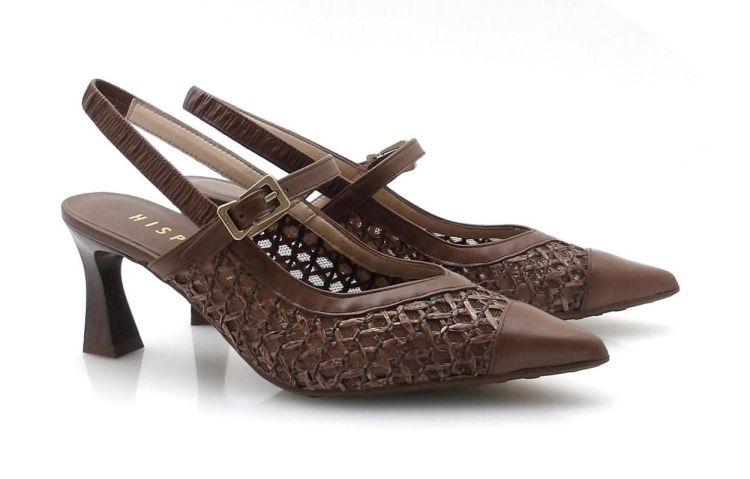 Hispanitas 264671 (260046) - Reynders - Daenen