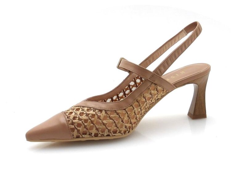 Hispanitas 264671 (260046) - Reynders - Daenen