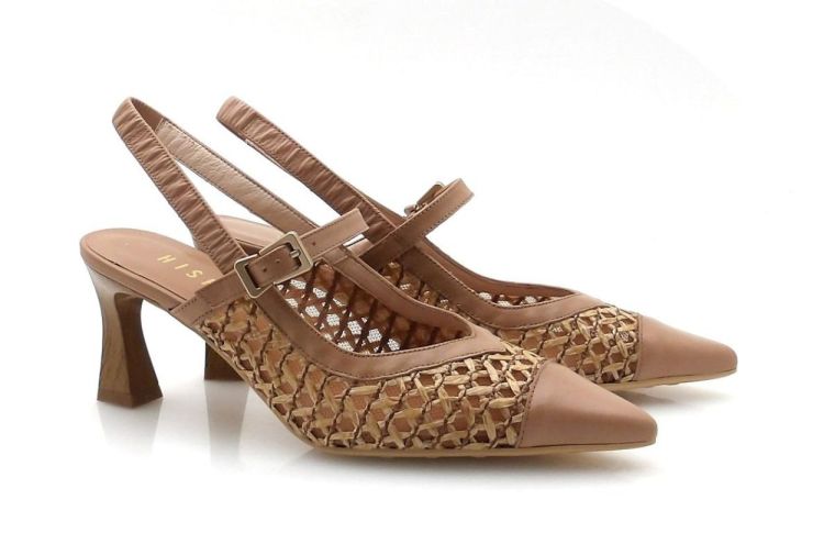 Hispanitas 264671 (260046) - Reynders - Daenen