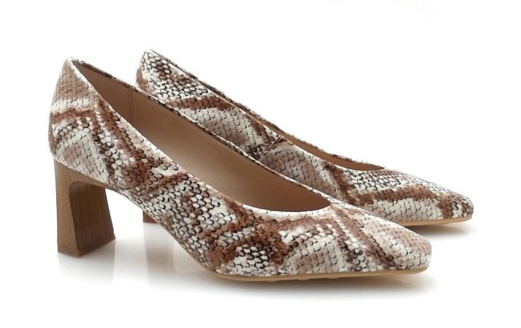 Hispanitas 264770 (260046) - Reynders - Daenen