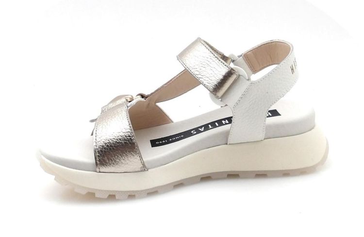 Hispanitas 264807 (260046) - Reynders - Daenen