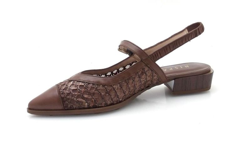 Hispanitas 264859 (260046) - Reynders - Daenen