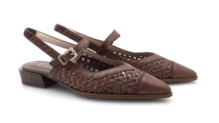 Hispanitas 264859 (260046) - Reynders - Daenen