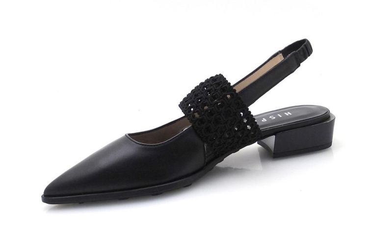 Hispanitas 264866 (260046) - Reynders - Daenen