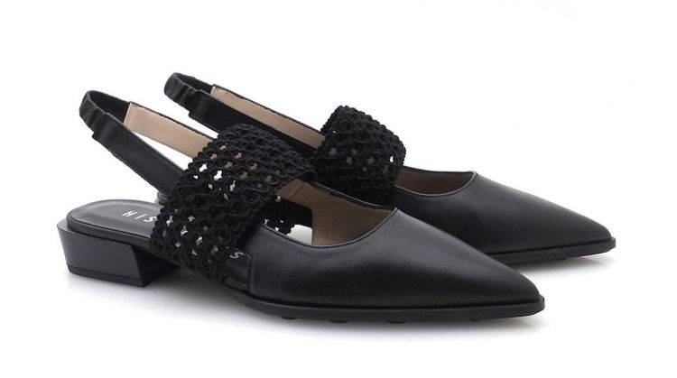 Hispanitas 264866 (260046) - Reynders - Daenen