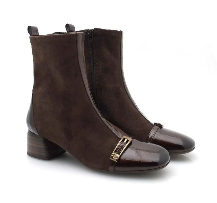 Hispanitas 265016 (260764) - Reynders - Daenen