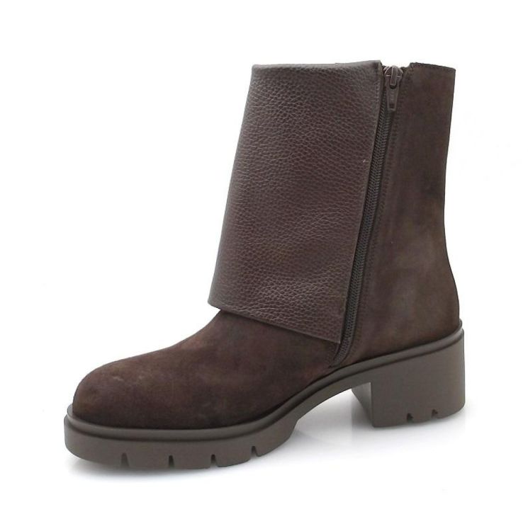 Hispanitas 265074 (260673) - Reynders - Daenen