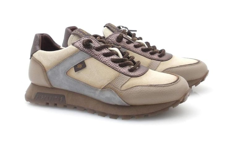 Hispanitas 265095 (260673) - Reynders - Daenen