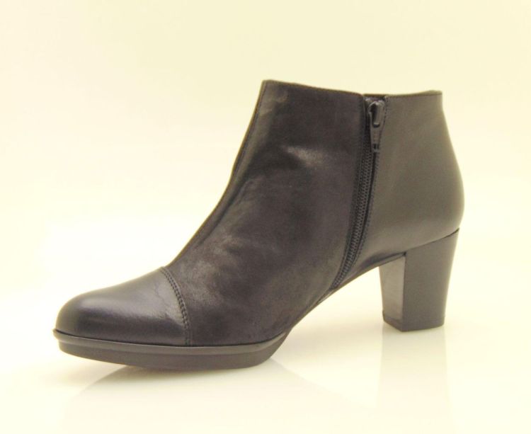 Hispanitas 64043  (60733) - Reynders - Daenen