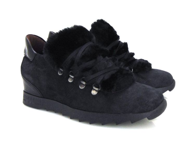 Hispanitas 87380 (80703) - Reynders - Daenen