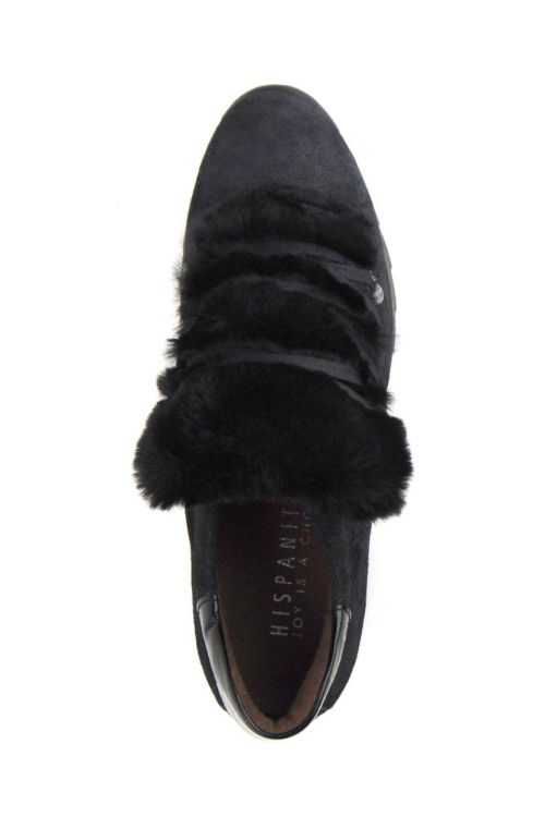 Hispanitas 87380 (80703) - Reynders - Daenen