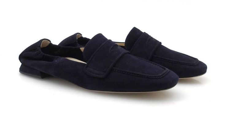 Högl 100942 (260056) - Reynders - Daenen