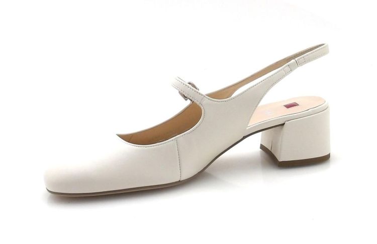 Högl 104120 (260060) - Reynders - Daenen