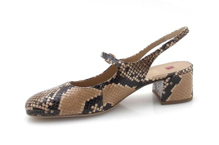 Högl 104127 (260060) - Reynders - Daenen