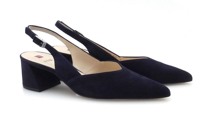 Högl 104612 (260060) - Reynders - Daenen