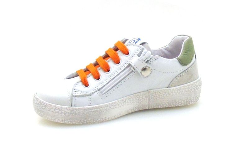 Lepi 6855 (220129) - Reynders - Daenen