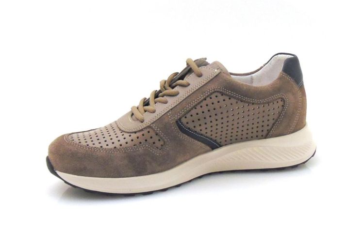 Mephisto Dino Perf (250903) - Reynders - Daenen