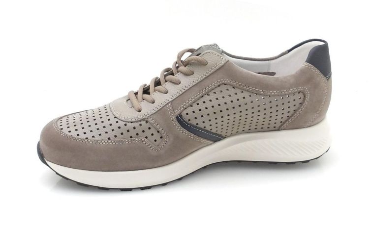 Mephisto Dino Perf (250903) - Reynders - Daenen